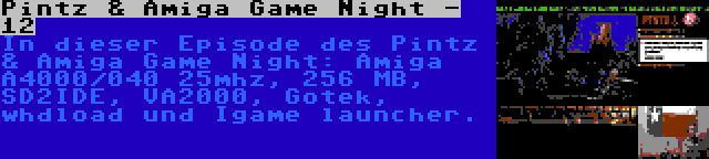 Pintz & Amiga Game Night - 12 | In dieser Episode des Pintz & Amiga Game Night: Amiga A4000/040 25mhz, 256 MB, SD2IDE, VA2000, Gotek, whdload und Igame launcher.