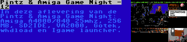 Pintz & Amiga Game Night - 12 | In deze aflevering van de Pintz & Amiga Game Night: Amiga A4000/040 25mhz, 256 MB, SD2IDE, VA2000, Gotek, whdload en Igame launcher.