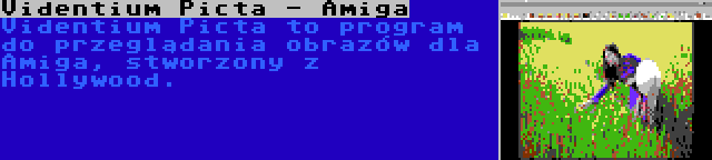 Videntium Picta - Amiga | Videntium Picta to program do przeglądania obrazów dla Amiga, stworzony z Hollywood.