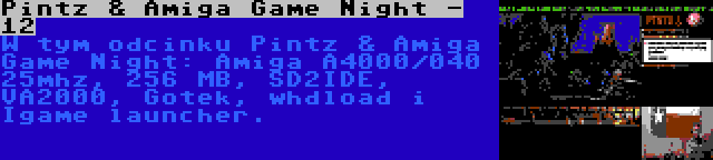 Pintz & Amiga Game Night - 12 | W tym odcinku Pintz & Amiga Game Night: Amiga A4000/040 25mhz, 256 MB, SD2IDE, VA2000, Gotek, whdload i Igame launcher.